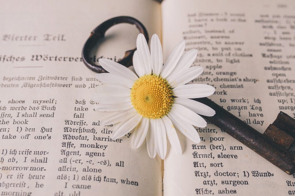 Livre sur lequel sont mises une fleur et une clef