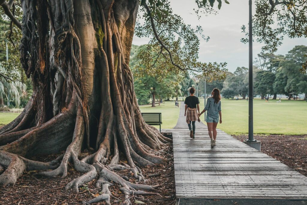 Réflexologie pour soulager avec cet arbre majestueux