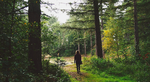 magali sartre dans les bois