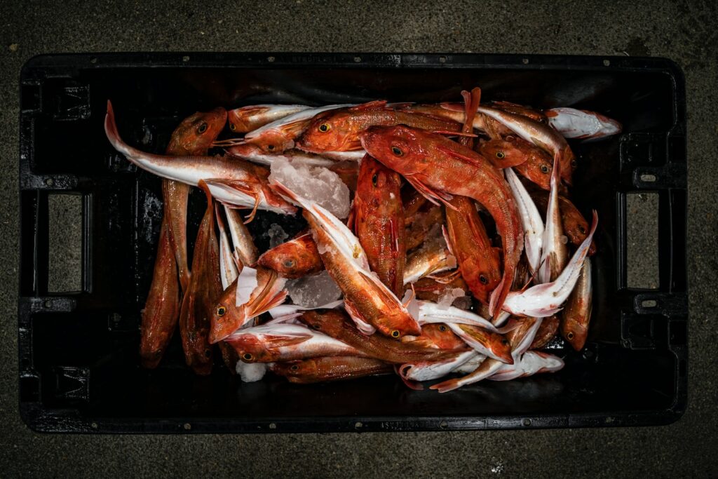 raw fish on black tray
poisson