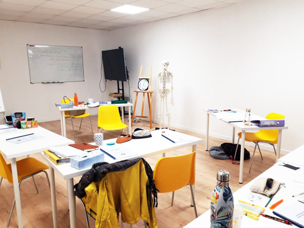 Formation de kinésiologie au CFOK.